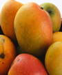 Mango - 5 kg (11 lb) - We alway's pick the best